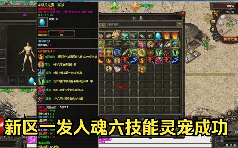 传奇SF独家灵宠养成全攻略，从入门到精通的心得分享